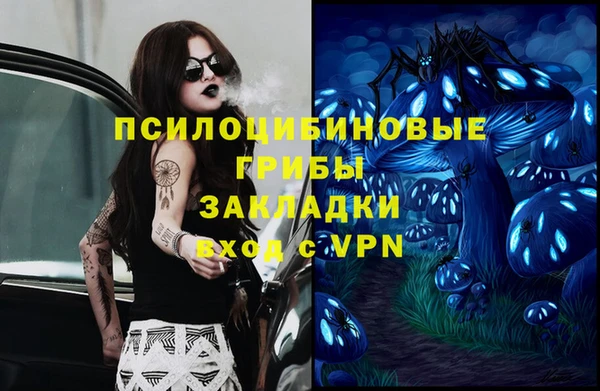 сатива Абинск