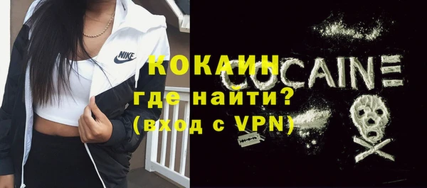 сатива Абинск
