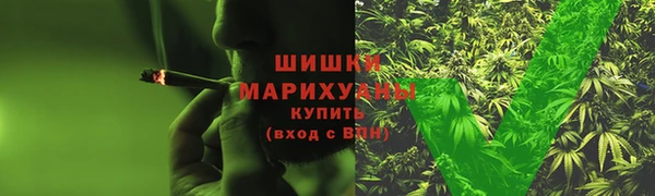 сатива Абинск