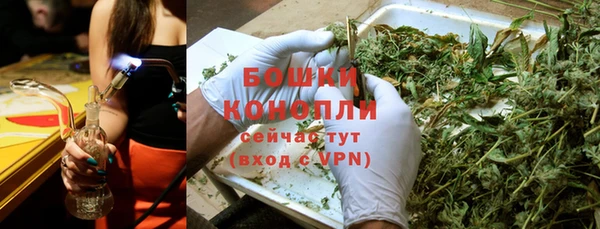 сатива Абинск