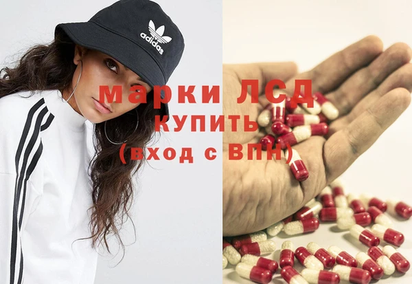 сатива Абинск
