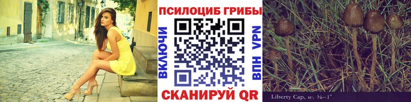 Галлюциногенные грибы Magic Shrooms  Дербент 